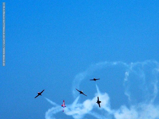 0779-Snowbirds