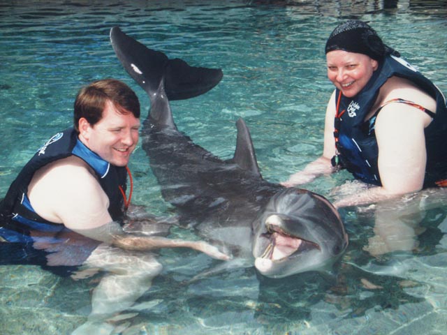 3726-dolphin_swim