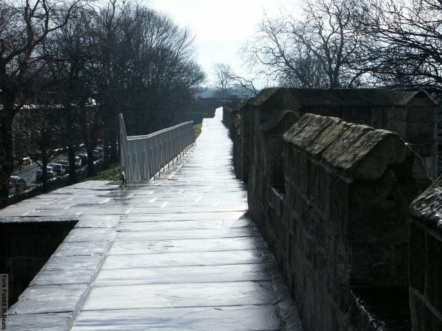 PICT5324-Damp_wall_in_the_morning_glare